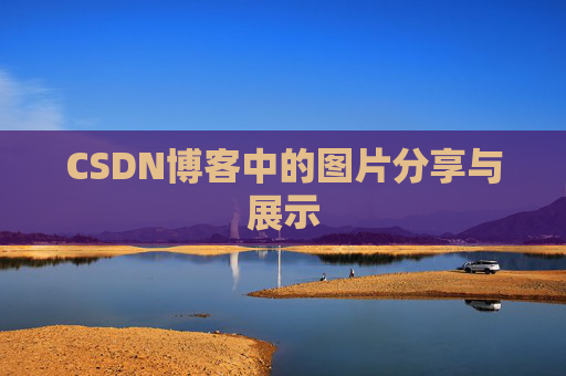 CSDN博客中的图片分享与展示